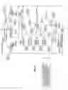 Fig. 17 - SYSTEM AND METHOD FOR NEURO-STIMULATION