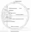 Fig. 01 - Advanced rotating-shield brachytherapy and planning of the same