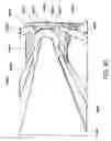 Fig. 57 - Advanced rotating-shield brachytherapy and planning of the same