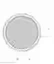 Fig. 01 - TWO-PIECE GOLF BALL