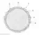 Fig. 01 - Golf ball