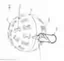 Fig. 10 - BALL HOLDER FOR CARRYING AND DRYING A BALL HELD THEREIN