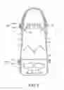 Fig. 08 - Snowboard binding and snowboard