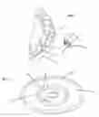 Fig. 06 - Wheel game apparatus and wagering game methods
