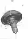 Fig. 04 - Top