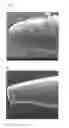Fig. 06 - Membrane with performance enhancing multi-level macroscopic cavities
