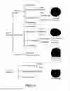 Fig. 08 - Robust carbon nanotube membranes and methods of making the same