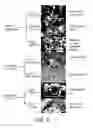 Fig. 09 - Robust carbon nanotube membranes and methods of making the same