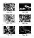 Fig. 13 - Robust carbon nanotube membranes and methods of making the same