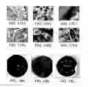 Fig. 14 - Robust carbon nanotube membranes and methods of making the same