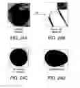 Fig. 18 - Robust carbon nanotube membranes and methods of making the same