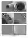 Fig. 06 - Membrane for blood purification