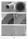 Fig. 07 - Membrane for blood purification