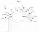 Fig. 02 - Membrane plasma reactor