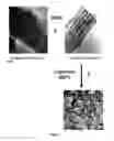 Fig. 03 - Nanostructured binary oxide TiO2/AI2O3 with stabilized acidity as catalytic support and its synthesis process