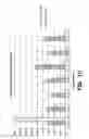 Fig. 11 - Particulate medium prepared from partially decomposed organic matter for selective sorption between competing metal ions in aqueous solutions