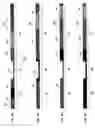 Fig. 05 - Flow control in microfluidic systems