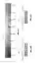 Fig. 24 - In situ-generated microfluidic isolation structures, kits and methods of use thereof