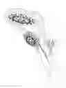 Fig. 01 - Combination showerhead with push button switching
