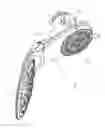 Fig. 09 - Combination showerhead with dial button switching