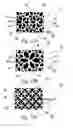 Fig. 12 - Fibrous structures comprising regions having different solid additive levels