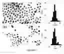 Fig. 11 - Method to control void formation in nanomaterials using core/alloy nanoparticles with stainless interfaces