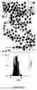 Fig. 13 - Method to control void formation in nanomaterials using core/alloy nanoparticles with stainless interfaces
