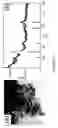 Fig. 18 - Method to control void formation in nanomaterials using core/alloy nanoparticles with stainless interfaces
