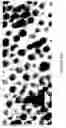 Fig. 20 - Method to control void formation in nanomaterials using core/alloy nanoparticles with stainless interfaces