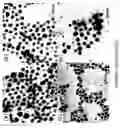 Fig. 23 - Method to control void formation in nanomaterials using core/alloy nanoparticles with stainless interfaces