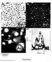 Fig. 28 - Method to control void formation in nanomaterials using core/alloy nanoparticles with stainless interfaces