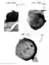 Fig. 25 - Porous structures produced by additive layer manufacturing