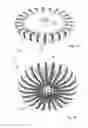 Fig. 07 - Tool for fine machining of surfaces