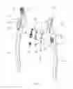 Fig. 02 - Illumination structure for pliers
