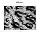 Fig. 08 - Release webs and textured products