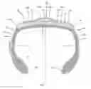 Fig. 08 - CONFIGURATION APPLIED TO ENVELOPE FOR TiRE RETREADING