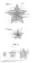 Fig. 05 - SECURITY DEVICE AND METHOD OF MANUFACTURE THEREOF