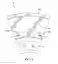 Fig. 03 - Structurally supported tire
