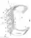 Fig. 02 - VARIABLE-WIDTH SIPE FOR TIRE TREAD AND TIRE