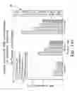 Fig. 24 - Tire sensor-based robust road surface roughness classification system and method