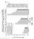 Fig. 28 - Tire sensor-based robust road surface roughness classification system and method
