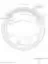Fig. 01 - Steering wheel