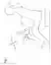 Fig. 02 - STEERING WHEEL
