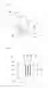 Fig. 08 - Passenger airbag apparatus and method of manufacturing the same
