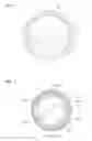 Fig. 02 - Grip detection device