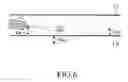 Fig. 07 - Driving support device for vehicle steering systems in lane assist and collision avoidance modes