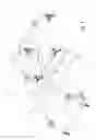 Fig. 09 - Utility vehicle