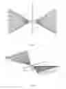 Fig. 02 - Flapping wing with multi film sheets listed on net frame