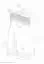 Fig. 01 - SECURE SHOPPING BAG