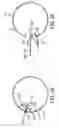 Fig. 07 - Systems and Methods for a Winch Drum and Drum Door